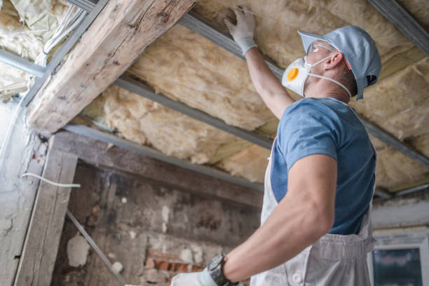 Best Residential Insulation in Paxton, IL