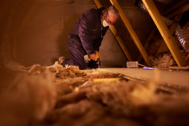 Best Insulation Maintenance and Repair in Paxton, IL